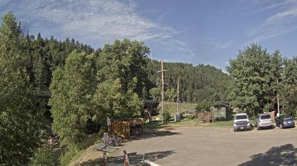 USA - Kolorado, Idaho Springs, Clear Creek I70 Rat