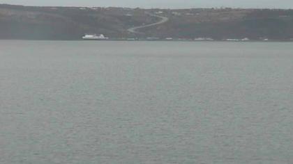 Terranova-y-Labrador imagen de cámara en vivo