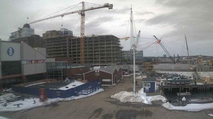 Nova-Scotia live camera image