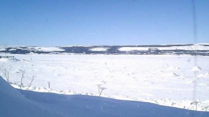 Nowa-Fundlandia-i-Labrador obraz z kamery na żywo