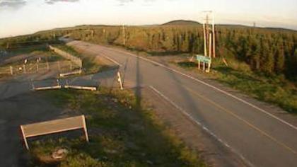 Terranova-y-Labrador imagen de cámara en vivo