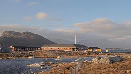 Nanortalik, Gmina Kujalleq, Grenlandia - Widok na 