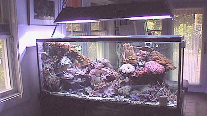 Coral Gables - akwarium - Floryda (USA)