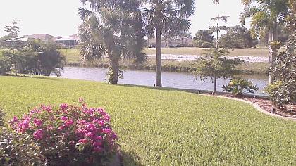 Floryda obraz z kamery na żywo