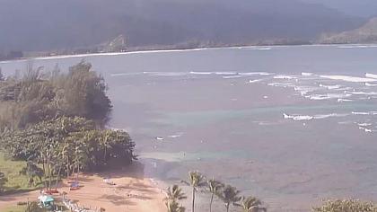Hawai imagen de cámara en vivo