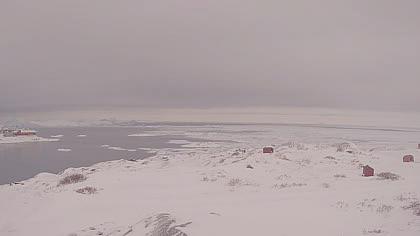 Groenlandia imagen de cámara en vivo