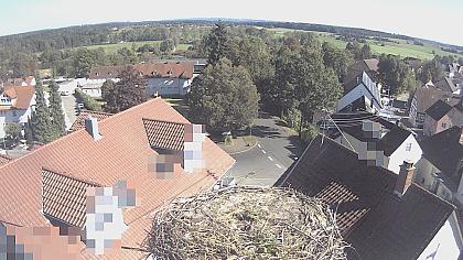Aulendorf imagen de cámara en vivo