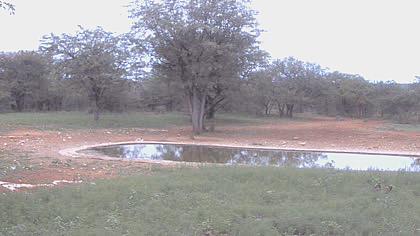 Namibia live camera image