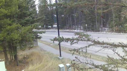 Alberta live camera image