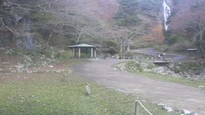 Japan live camera image
