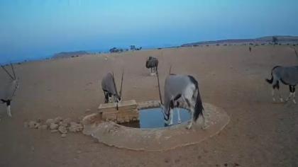 Namibia obraz z kamery na żywo