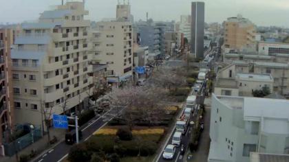 Japonia - Region Kantō, Tokio, Widok na ulicę - Ka