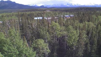 USA - Alaska, Park Narodowy Denali, Panorama