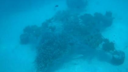 Meeru, Kaafu, Malediwy - Podwodna kamera w Morzu L