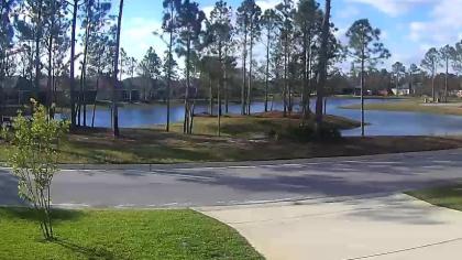 Floryda obraz z kamery na żywo