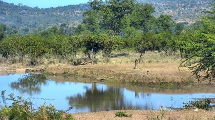 Park Narodowy Krugera, Mpumalanga, Republika Połud