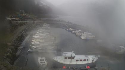 Norwegia obraz z kamery na żywo