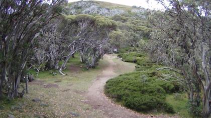 Mount Buller, Wiktoria, Australia - Widok z chaty 