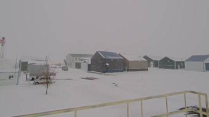 Montana live camera image