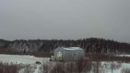 Alaska obraz z kamery na żywo