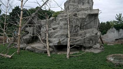 Detroit Zoo, Royal Oak, Hrabstwo Oakland, Michigan