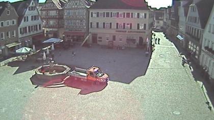 Vaihingen-an-der-Enz obraz z kamery na żywo