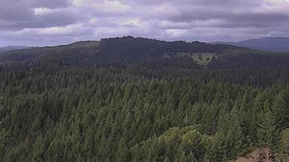 Oregon obraz z kamery na żywo