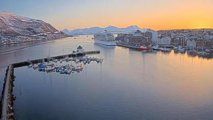 Vervet, Tromsø, Troms og Finnmark, Norwegia - Wido