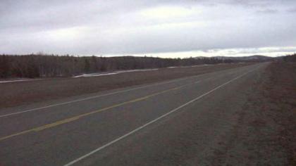 Braeburn, Yukon, Kanada - Widok na autostradę - Kl