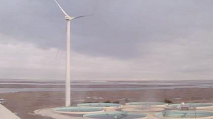 Belmar - Wind Farm - New Jersey (USA)