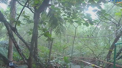 Costa-Rica live camera image