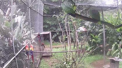 Kostaryka obraz z kamery na żywo