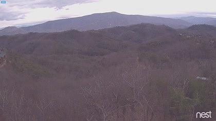 Tennessee-(USA) obraz z kamery na żywo