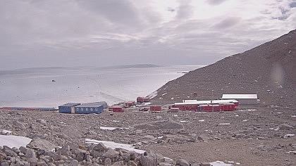Antarktyda obraz z kamery na żywo