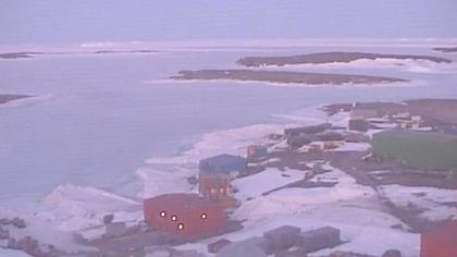 Antarktyda obraz z kamery na żywo