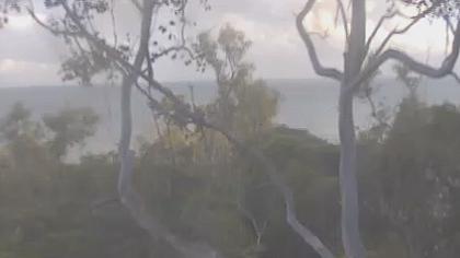 Queensland obraz z kamery na żywo