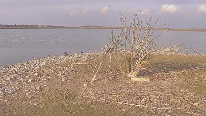 Wasservogelreservat-Wallnau obraz z kamery na żywo