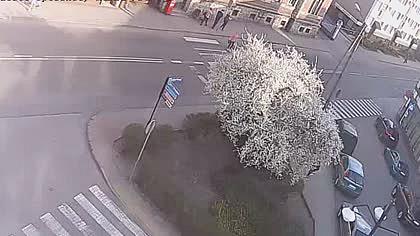 Strzelce-Opolskie obraz z kamery na żywo