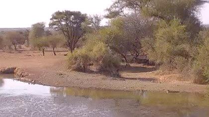 Botswana live camera image